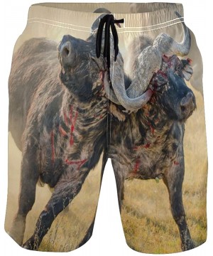 Men's Quick Dry Swim Trunks with Pockets Beach Board Shorts Bathing Suits - African Buffalo Fighting - CQ195W46N7C $31.64-Boa...