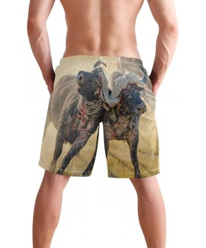 Men's Quick Dry Swim Trunks with Pockets Beach Board Shorts Bathing Suits - African Buffalo Fighting - CQ195W46N7C $31.64-Boa...