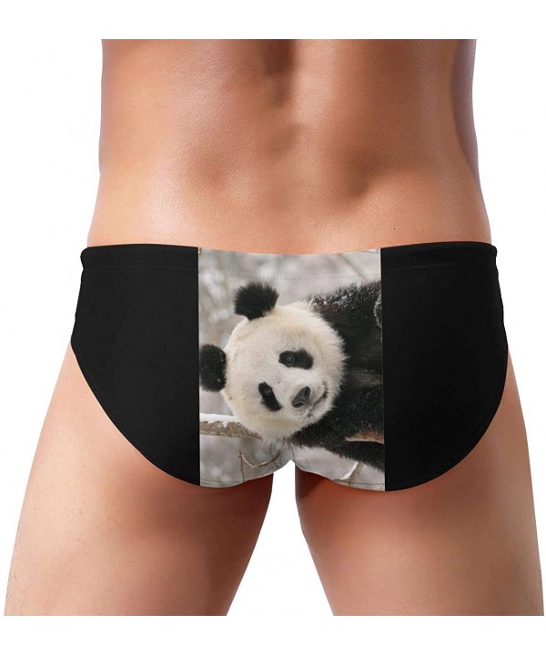 Panda Bear Men's Sexy Triangle Swim Trunks Bikini Sports Swimwear - Black - CT19E4N3AYQ $21.26-Briefs