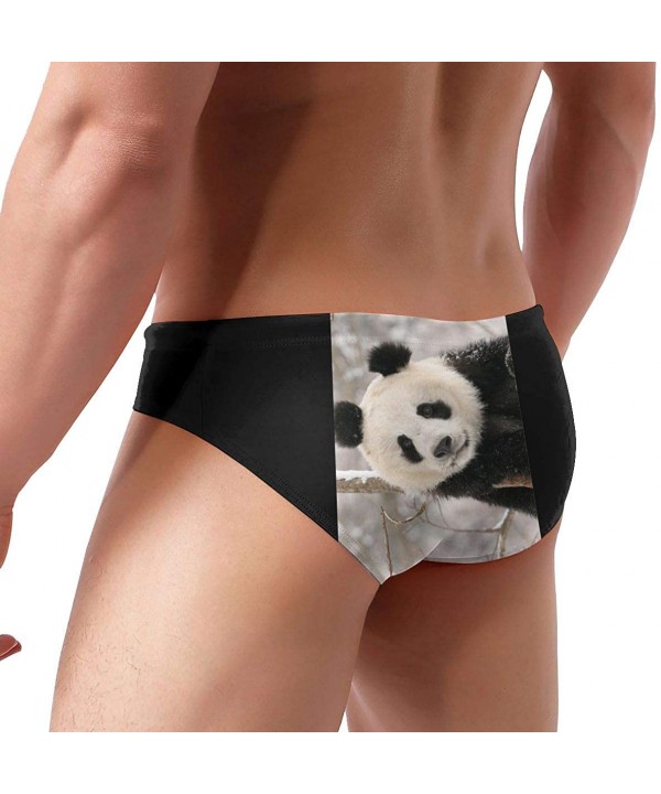 Panda Bear Men's Sexy Triangle Swim Trunks Bikini Sports Swimwear - Black - CT19E4N3AYQ $21.26-Briefs