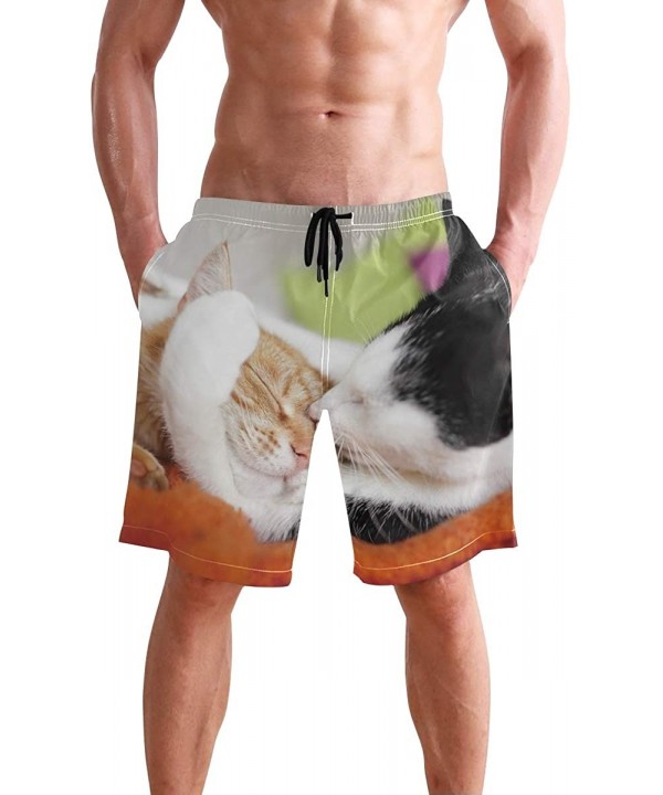 Free Moose Men's Swim Trunks Beach Shorts with Pockets - Cute Cat Family - C118Q2RY9XL $25.74-Trunks