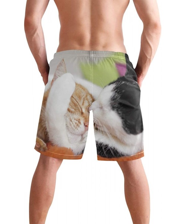 Free Moose Men's Swim Trunks Beach Shorts with Pockets - Cute Cat Family - C118Q2RY9XL $25.74-Trunks