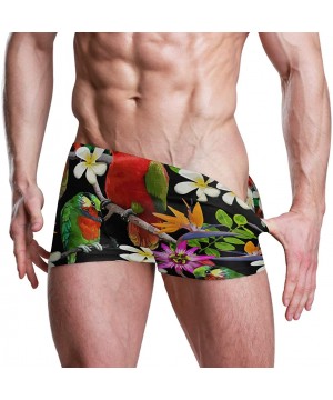 Mens Parrot Tropical Leaves Swim Shorts Boxer Brief Drawstring Square Leg Swimsuit Quick Drying S-3XL - C718TXXM73Y $25.12-Br...