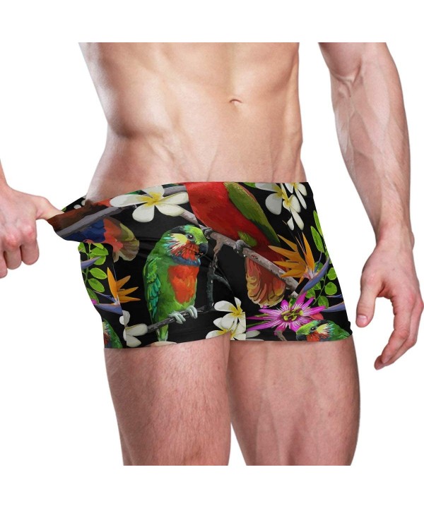 Mens Parrot Tropical Leaves Swim Shorts Boxer Brief Drawstring Square Leg Swimsuit Quick Drying S-3XL - C718TXXM73Y $25.12-Br...