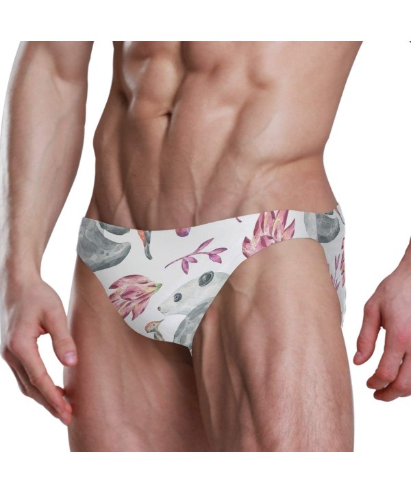 Men Swimsuit Polar Bear Penguin Bikini Briefs Male Sexy Swimwear 2030361 - 2030367 - CE18T8QC4NL $24.96-Racing