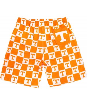 Men's University Shorts Sportwear Quick Dry Board Training Summer Swim Running Trunks Shorts Beachwear Suits with Lining - Te...