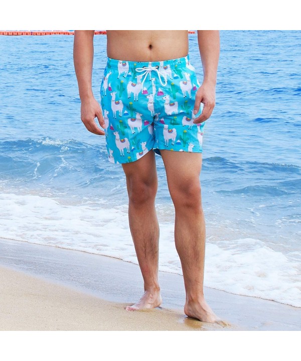 Men's Swim Trunks Quick Dry Waterproof Bathing Suits Beach Short with Mesh Lining - Cactus Alpaca - CQ18QQWHLLC $20.28-Trunks