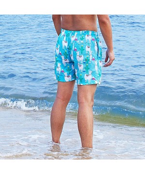 Men's Swim Trunks Quick Dry Waterproof Bathing Suits Beach Short with Mesh Lining - Cactus Alpaca - CQ18QQWHLLC $20.28-Trunks