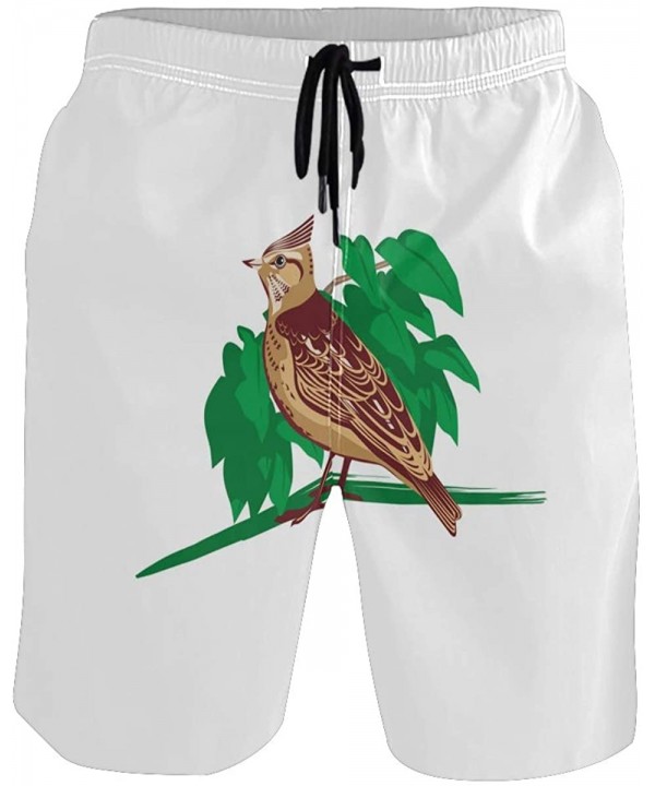 Men's Quick Dry Swim Trunks with Pockets Beach Board Shorts Bathing Suits - Crested Lark - CD1952973XG $22.67-Board Shorts