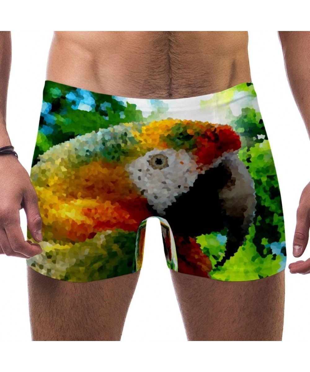 Men's Parrot Swimsuits Swim Trunks Shorts Athletic Swimwear Boxer Briefs Boardshorts - C419E4T6SY4 $27.42-Racing