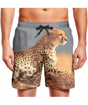 Mens Swim Trunks California Grizzly Quick Dry Printed Beach Shorts Casual - Cheetah - CR18TOUQ069 $29.59-Trunks