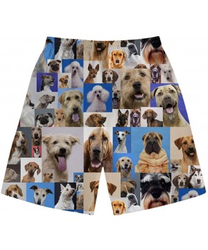 Men's Funny Swim Trunks Quick Dry Beach Shorts Summer Boardhorts with Mesh Lining - Animal 1 - CE194TDWUTG $25.06-Trunks