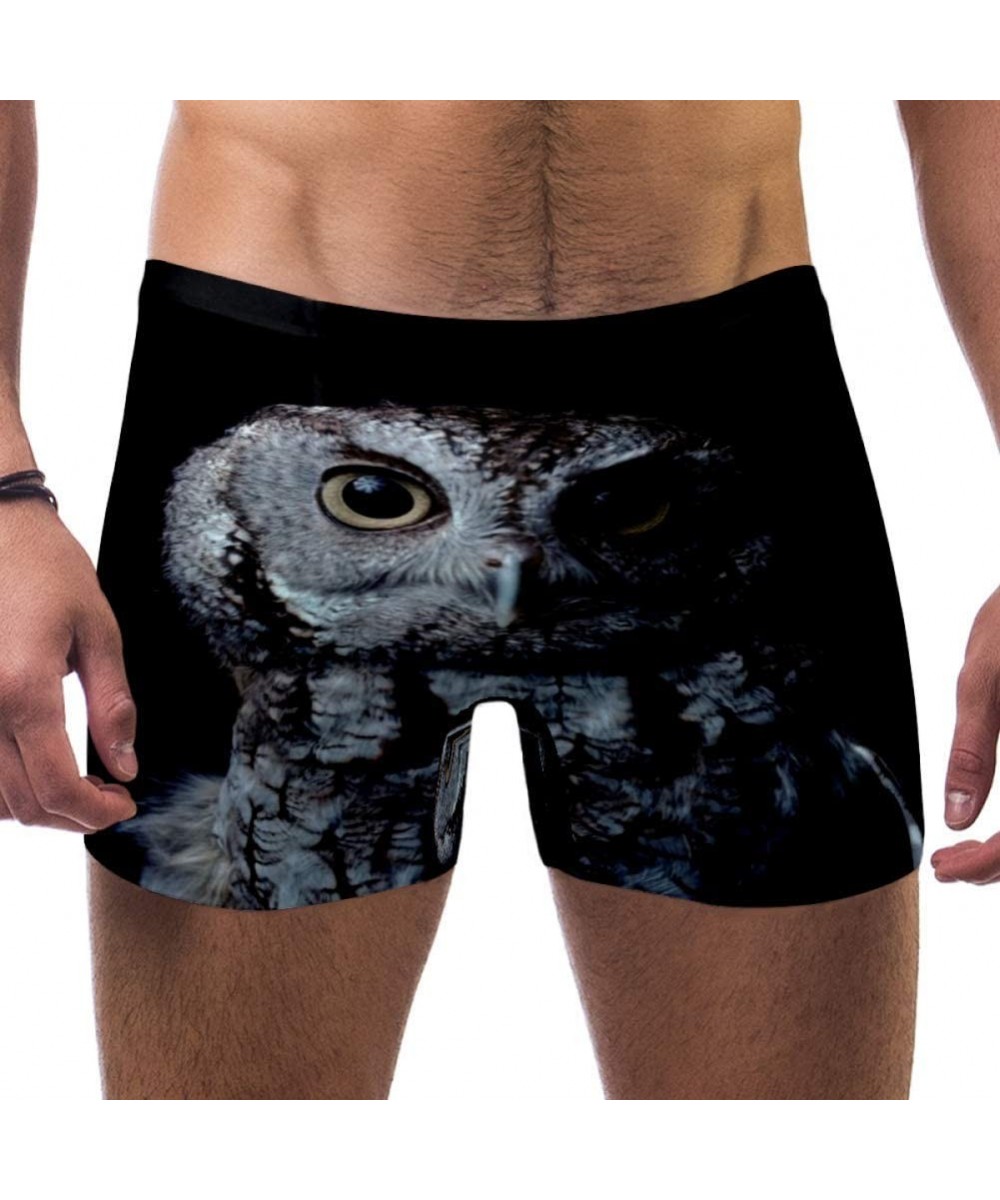 Owl Portrait Swimsuits Swim Trunks Shorts Athletic Swimwear Boxer Briefs Boardshorts - C619E4H037K $20.95-Briefs