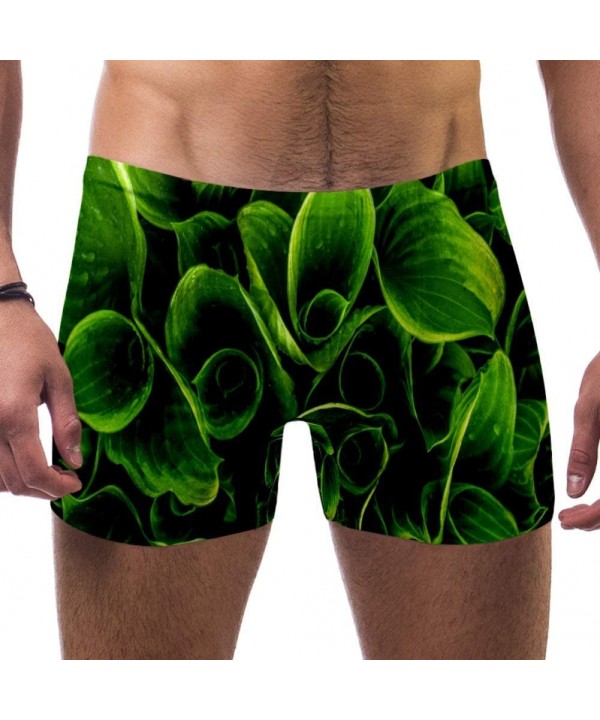 Men's Green Leaves Nature Swimsuits Swim Trunks Shorts Athletic Swimwear Boxer Briefs Boardshorts - CX19E47UYD3 $21.50-Briefs