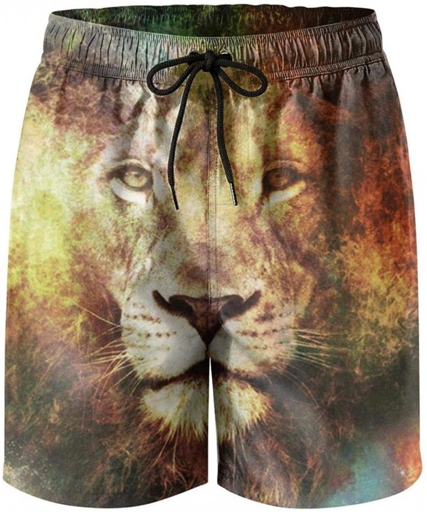 Mens Swim Trunks Fossil of Cartoon Dinosaur Summer Cool Quick Dry Board Shorts with Mesh Lining - Galaxy Lion - CC18RQTRU74 $...