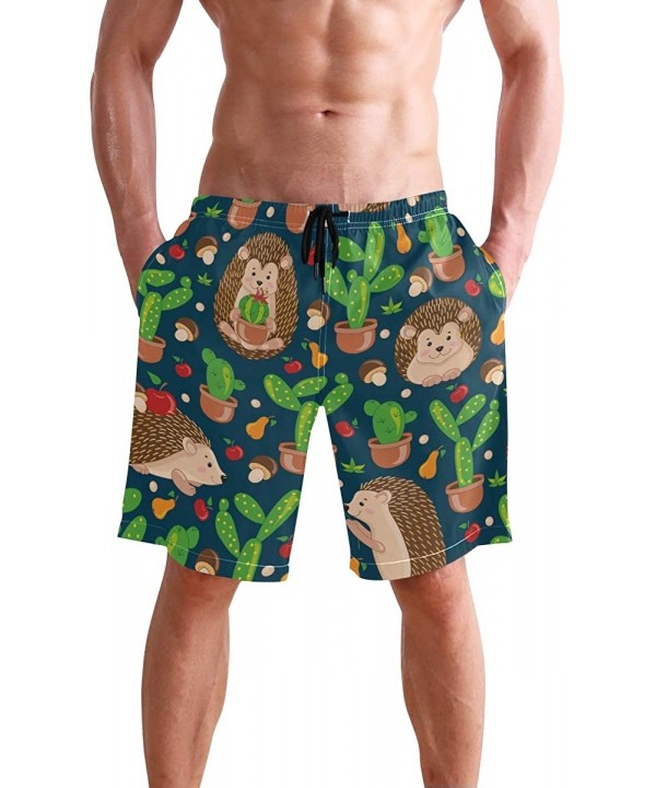 Men's Swim Trunks Hedgehog Cactus Quick Dry Beach Board Shorts with Pockets - Hedgehog Cactus - CV18QU632ZK $25.19-Board Shorts