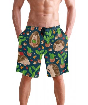 Men's Swim Trunks Hedgehog Cactus Quick Dry Beach Board Shorts with Pockets - Hedgehog Cactus - CV18QU632ZK $25.19-Board Shorts