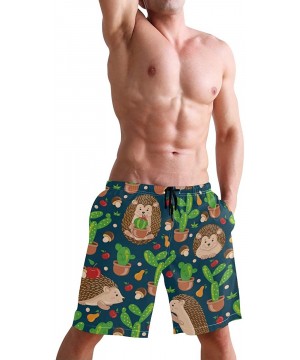 Men's Swim Trunks Hedgehog Cactus Quick Dry Beach Board Shorts with Pockets - Hedgehog Cactus - CV18QU632ZK $25.19-Board Shorts