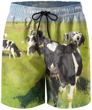 Men's Sportwear Quick Dry Board Shorts Cattle Family On The Grass Swim Trunks - Cattle Family on - CF18ROZSN72 $23.47-Board S...