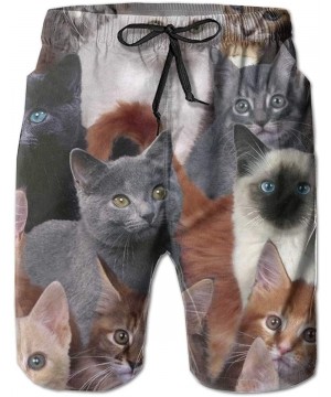 Men's Beach Shorts Swim Trunks Quick Dry Bathing Suit (Champagne Glass Funny) - Cat Kitten Lovely - CW18SUYX9C3 $16.29-Board ...