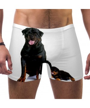 Men's Puppy and Adult Rottweiler Swimsuits Swim Trunks Shorts Athletic Swimwear Boxer Briefs Boardshorts - CN19E4QQXZG $23.42...