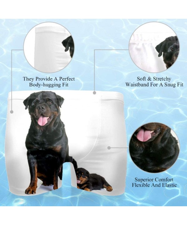 Men's Puppy and Adult Rottweiler Swimsuits Swim Trunks Shorts Athletic Swimwear Boxer Briefs Boardshorts - CN19E4QQXZG $23.42...